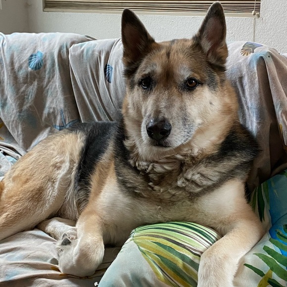 Meet your Posher, Lesly - Picture 1 of 1